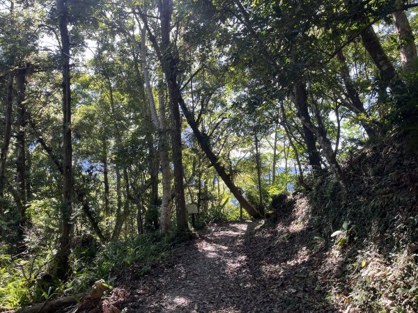 [玉山尋寶任務-03/12] 2025_0810 瓦拉米步道2857556