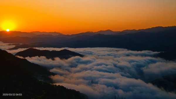 翡翠水庫壩頂 #月亮雲海 #日出雲海 +鱷魚島雲海 3/22&232739631