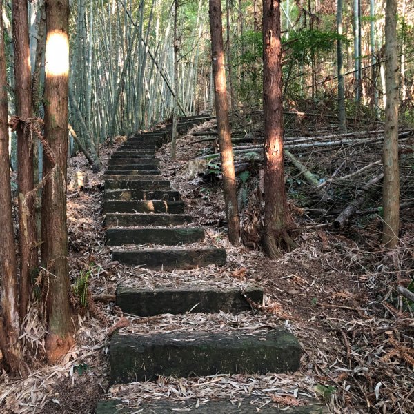 20200119嘉南雲峰步道809596