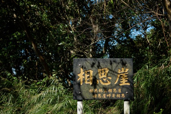 飛鳳山步道 (代勸堂上竹林路下)1886068