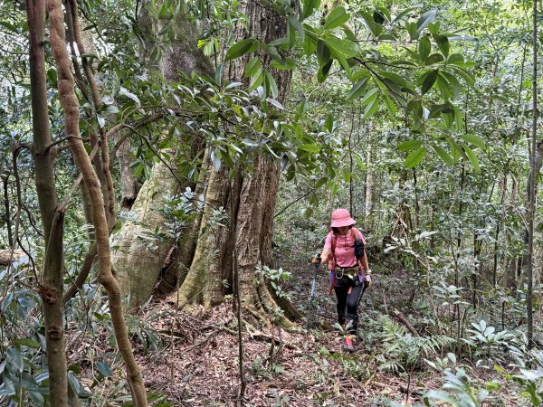 熊空瀑布+熊空山未竟+竹坑山O繞202508162863672