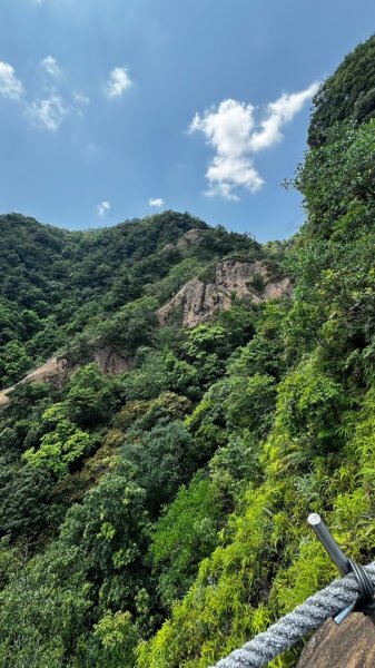 孝子山、普陀山、慈母峰賞鹿子野百合O走2592961
