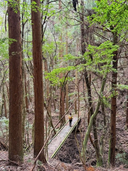 雪霸國家公園 雪見遊憩區 東洗水山2928562