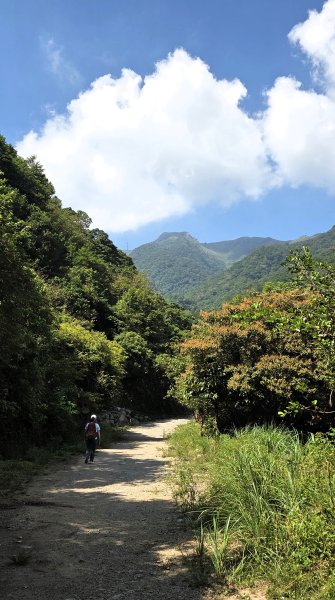 享受台北近郊陽明山小秘境楓林瀑布的清新芬多精2996550