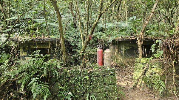 20260323后番仔坑山-內平林山-新路尾山-頂坑山-三貂嶺中心點3023692