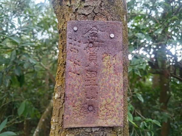 盆貿里山三盆連走2749600