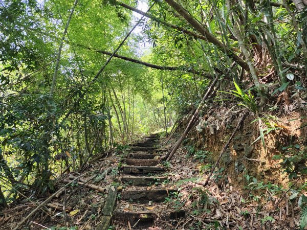 小百岳No.52⛰後尖山2555308