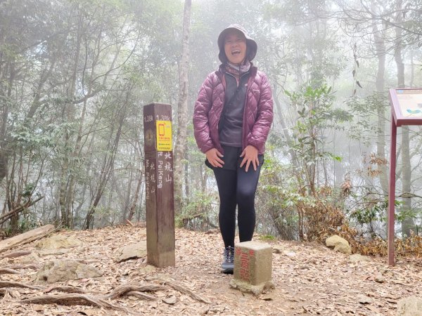 雪見大板根-202502222859808