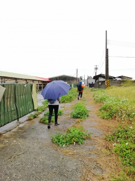 輕鬆好走但我們遇上微雨強風~小百岳鐵砧山918649