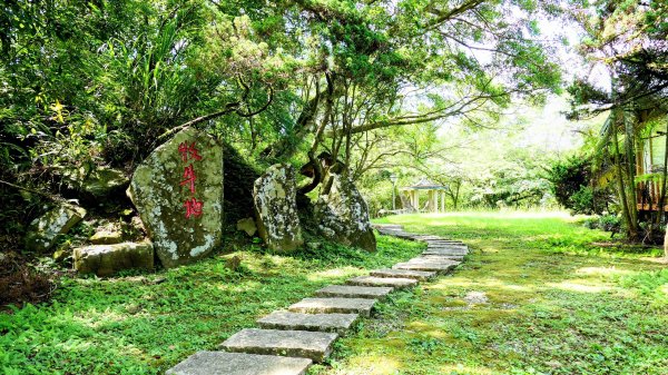 南勢坑小尖,大尖2816044