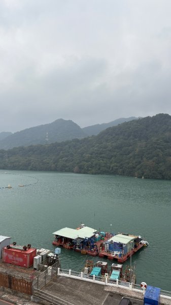雨後2966808