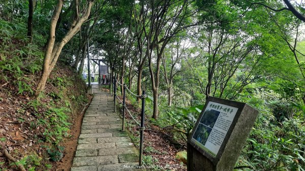 《台北》城市晨運｜虎山親山自然步道（松山慈惠堂）202505222795773