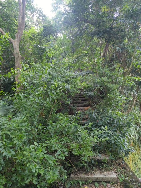 2025.12.14－微笑山線：【二格山系】和美山螢火蟲段2966244