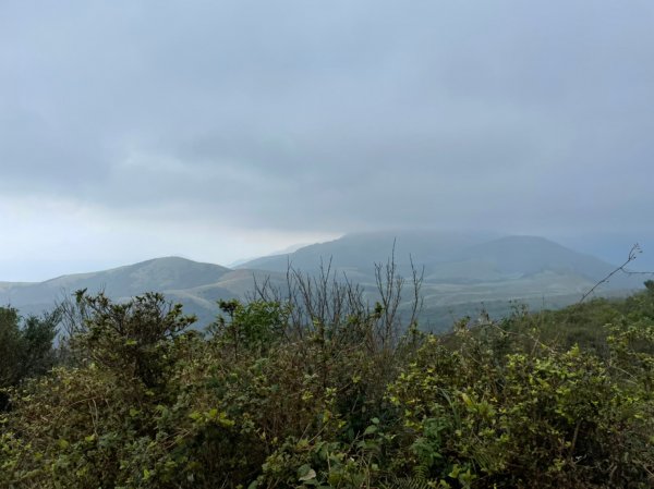 搭公車去爬山。坪頂古圳親山步道大O型1571294