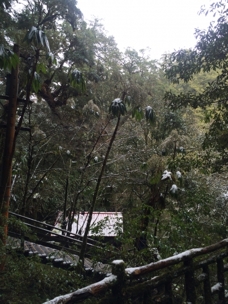 山岳之美 塔曼踏雪8400