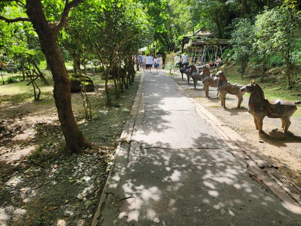 20250629 youbike 木柵 ~ 十分2907251