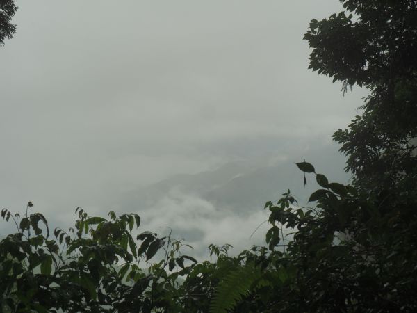 西巒大山229984
