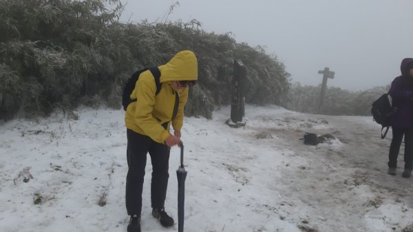 人生第一次賞雪(面天山、向天山)1246395