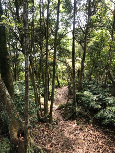 猴山岳-二格山-南邦寮山922553