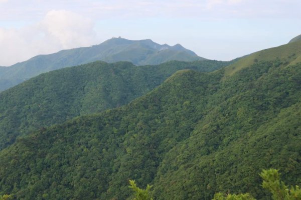 陽明山  菜公坑山 反經石   水車寮步道。林木蓊鬱  豐富的蕨類植披，絕佳避暑古道2174065