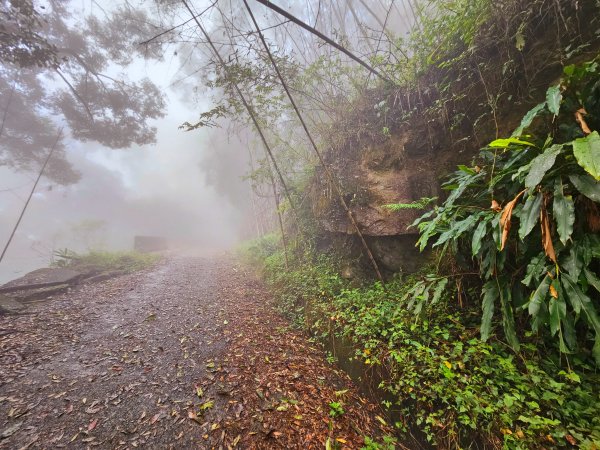 小百岳集起來-奮起湖大凍山2185181