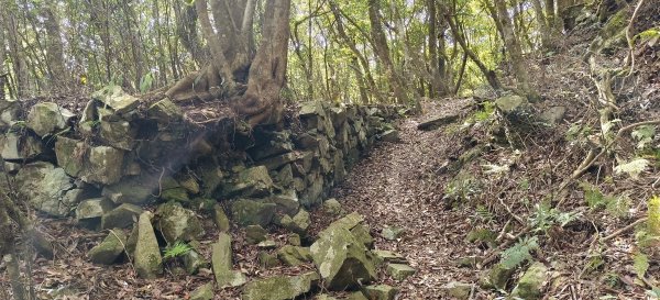 2025/05/01-凌空廊道上李崠山2775480