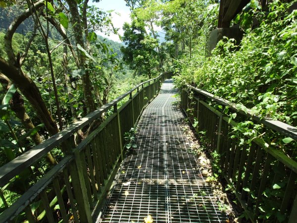 萬年峽谷步道3078773