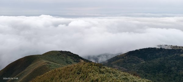 #大屯山 #雲海 #琉璃光 1/162983039