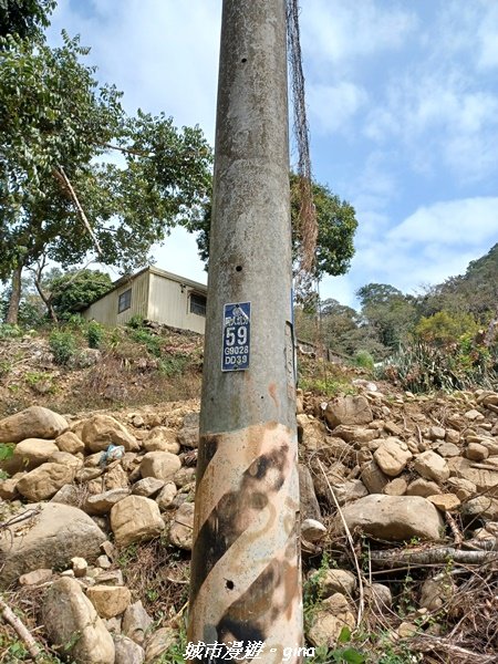 【南投國姓】兩個女生的山野包山行。 眉冷山步道x梅島山x眉冷山2066653