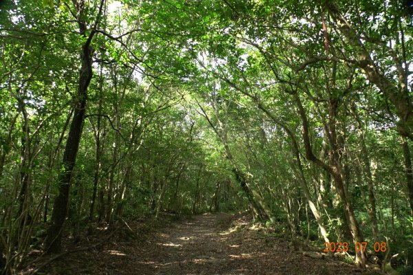 宜蘭 礁溪 鵲子山、五峰旗山、後湖子山2211645