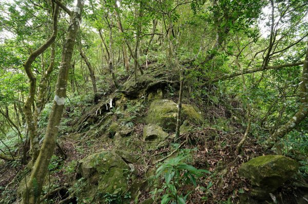 新北 烏來 烏來山、大桶山、四崁水山2829236