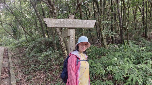 (姨婆趴趴走)第五十五集:攀登健走台北大崙頭尾山親山步道環狀一圈2853714