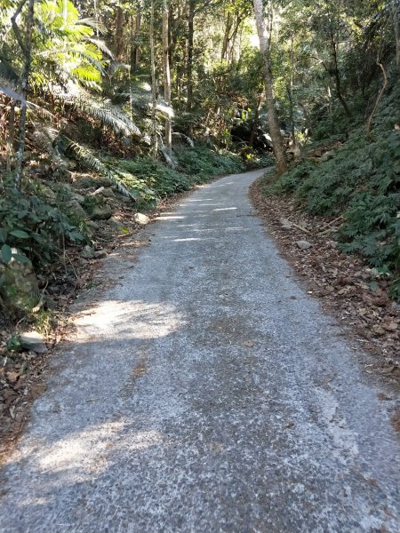 步道巡訪員│白毛山步道1月巡訪日誌812591