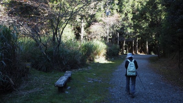 《新竹》觀霧走榛山｜觀雲海202011281190173