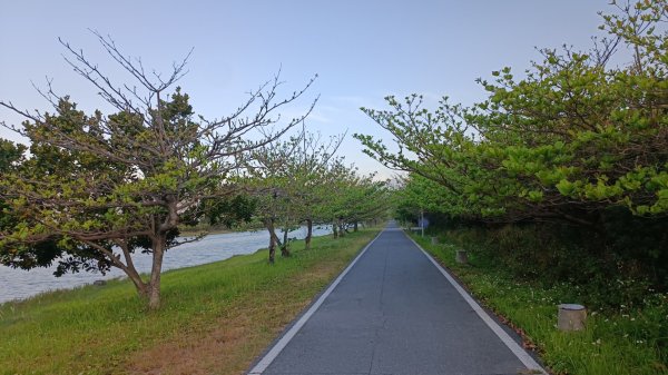 台東市海濱公園2063225