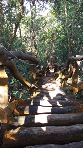 將來爬不動1051202大坑1-5-196280