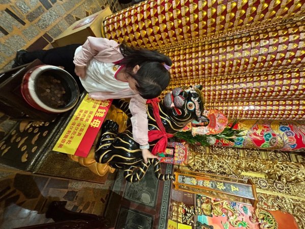 擁抱自然健走趣2843908