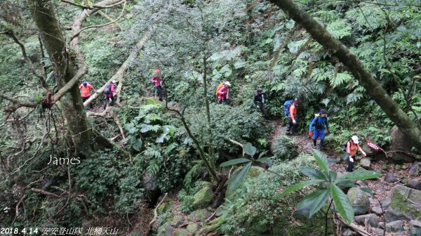 20180414安安登山隊_北插天山419218