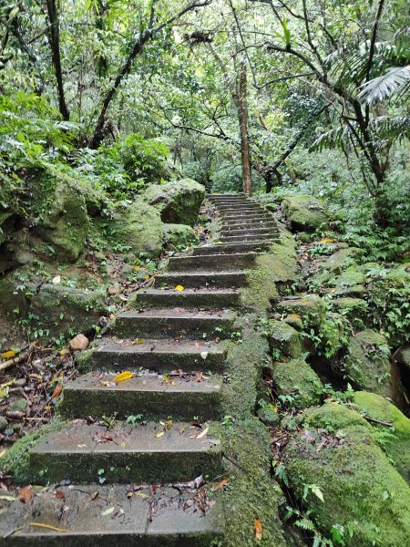 微笑山線：【五分山系】菁桐煤礦段、平溪小黃山段、望古瀑布段2841297