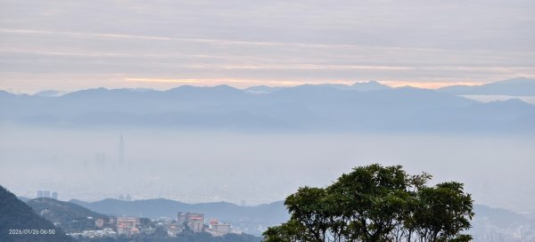 陽明山趴趴走追雲趣 #雲海 #琉璃光 1/26 認得幾個拍照地點共15個2988311