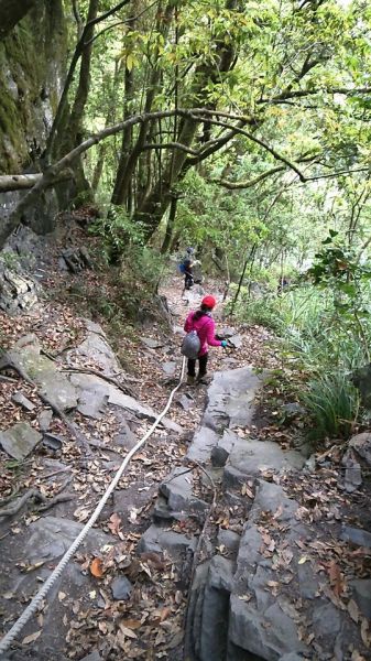 天使之淚嘉明湖+三叉山+向陽山+栗松溫泉313131