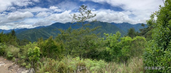 【羅馬縱走】山林巨木饗宴，夏季避暑的縱走路線2888212