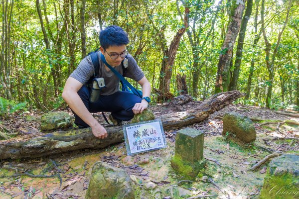 [桃園]北插天山磨練之旅2532891