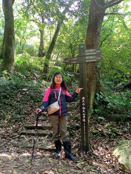 【臺北大縱走 2】【台北-臺灣百大必訪步道】湖光山色的二子坪步道、陡上陡下的大屯山西峰1338047