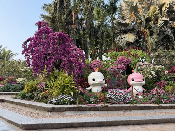 [茂名馬之行-12] 2026_0119 蓮花山公園2996917