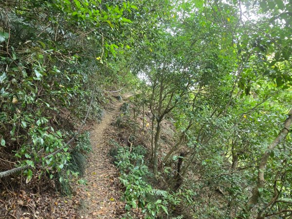 女仍山（小百岳）2752499