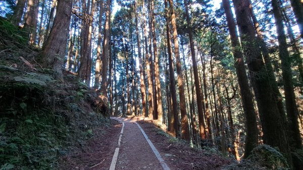 20241127特富野古道+梯子板山2659303