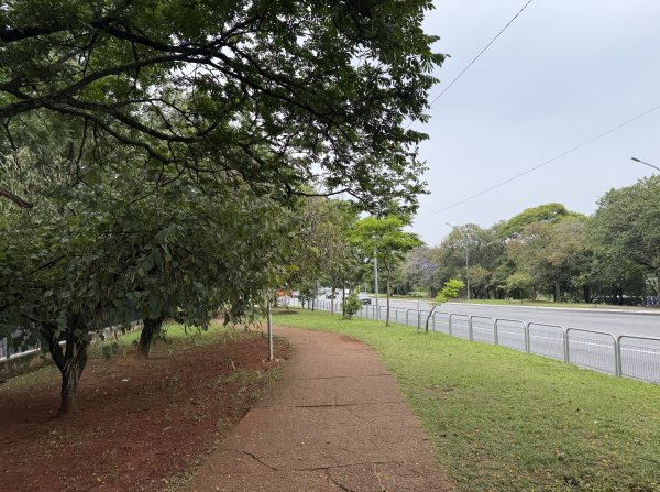 [紐約馬之行-66] 2025_1116 聖保羅方尖碑2954940