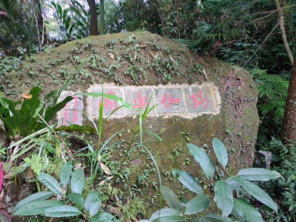 ［象山~深坑8連峰］  （象山～南港山南峰～拇指山～倒照湖山～大坑山～西峰~三腳木山~西峰）2403156