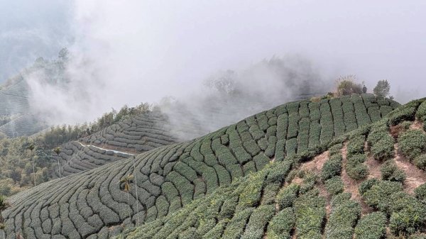 雲嘉五連峰 (大尖山、二尖山、馬鞍山、梨子腳山、太平山)